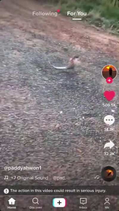 Idk if this is a repost but I keep forgetting to post this and I think it&rsquo;s hilarious