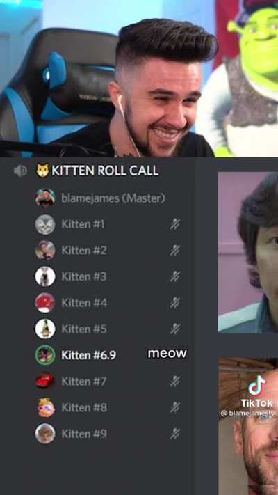 meow