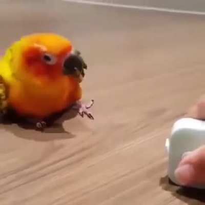 Awwww
