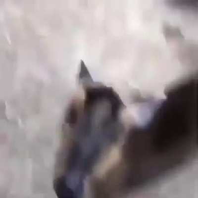 Isso &eacute; muito fofo