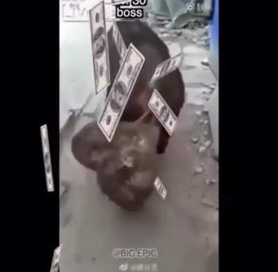 B A L L S