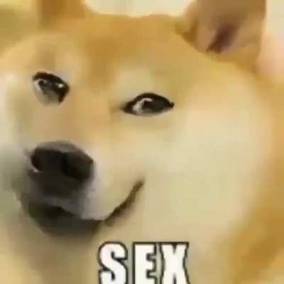 Doge Meme (Standardized Jonker Moment)
