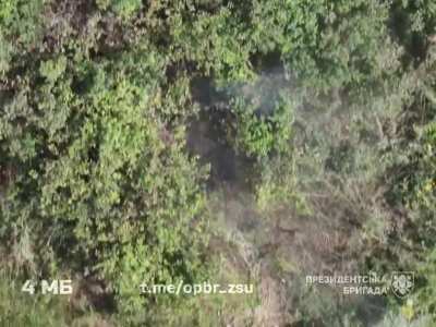 UA Sep. Presidential Brigade's 4th Battalion UAV team targeted Russian infantry with a combination of munition drops and FPV drone strikes, burning dugouts and chasing down survivors. Published August 12, 2024