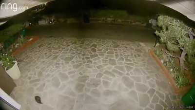 nahhh what the fuck is that