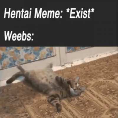 If a man shares a hentai meme, he&rsquo;s not only right in providing the sauce, he&rsquo;s obligated to do so