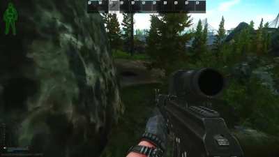 Tarkov scream