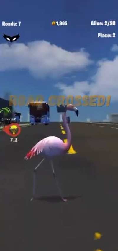 the adventure of chicken