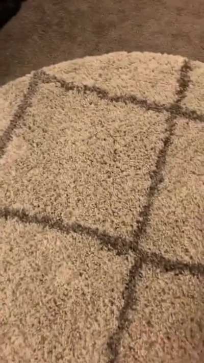 Burn the entire house