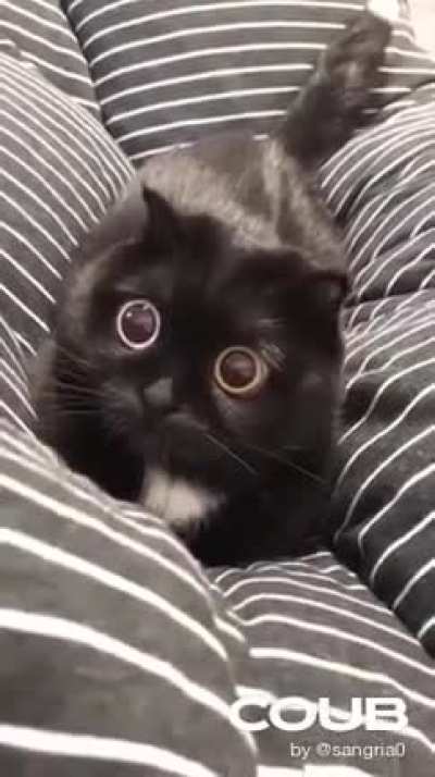 Some eye bleach for Jeannie