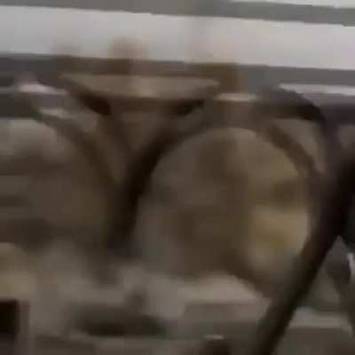 Blursed_boom