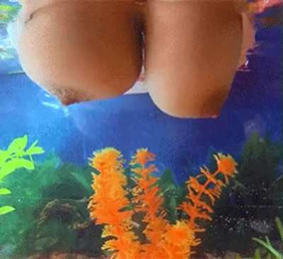 Bouncing in aquarium