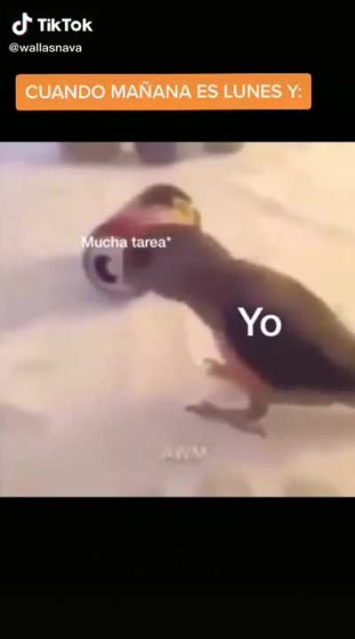 BAILECITO