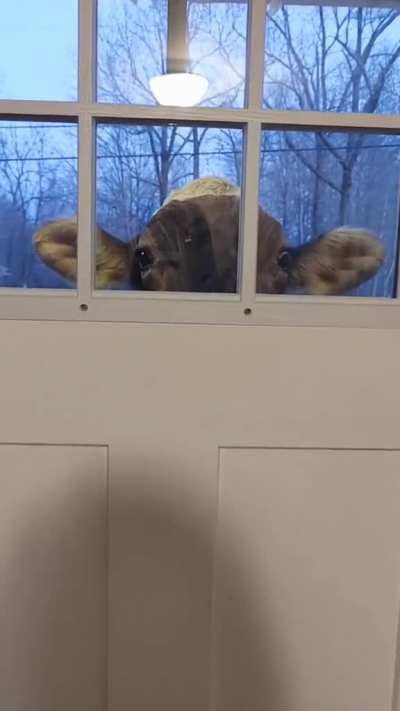 Hi I&rsquo;m Your New Neighbor by shaam