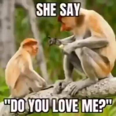 Monke