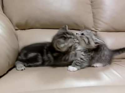 babies playing