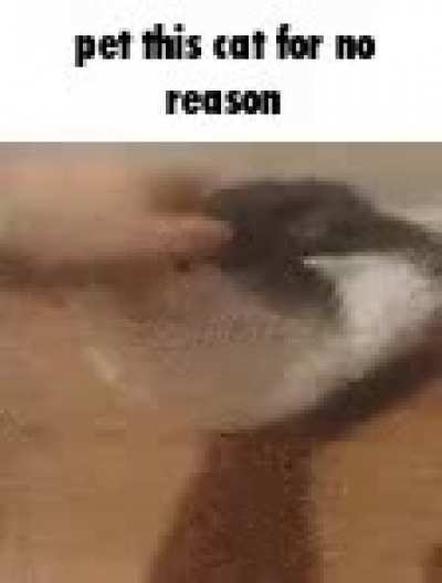 I&rsquo;m going to