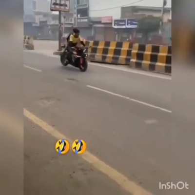 Squid