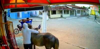 Faroeste Caboclo: Vídeo mostra assaltantes chegando e fugindo a cavalo em roubo a mercadinho em Goiana