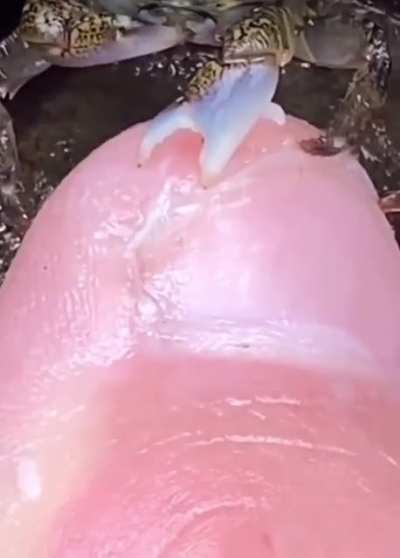 Watch out for crabs, and shit.