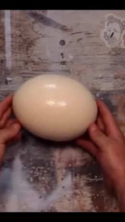 This is an ostrich egg