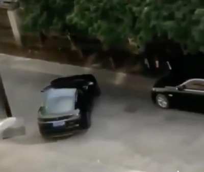 Woman freaks out because the car driver did not wait for her to walk past.