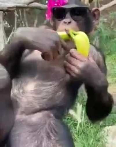 Return to Monke