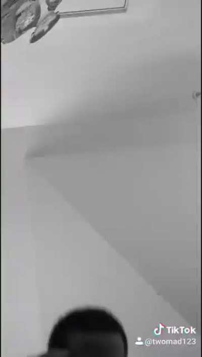 the twomad guy
