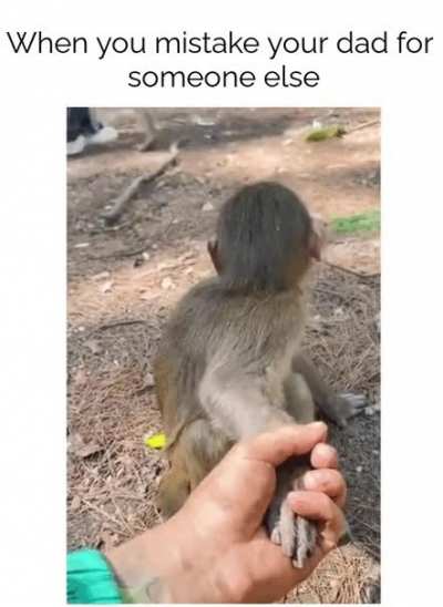 Maybe maybe maybe