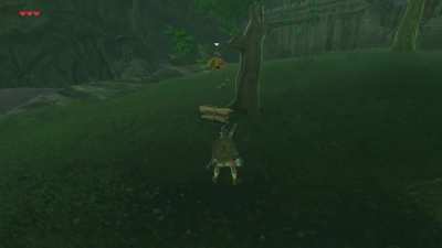 [BoTW]Almost 600+ hours into the game and I just found out now that this was possible.