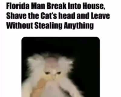 Ah, Florida, never change...