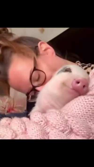 Happy little bacon