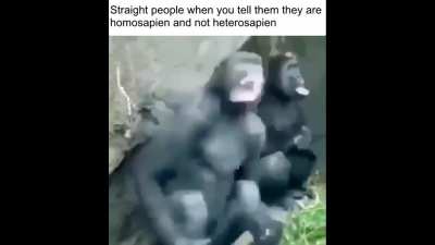 or straightsapien