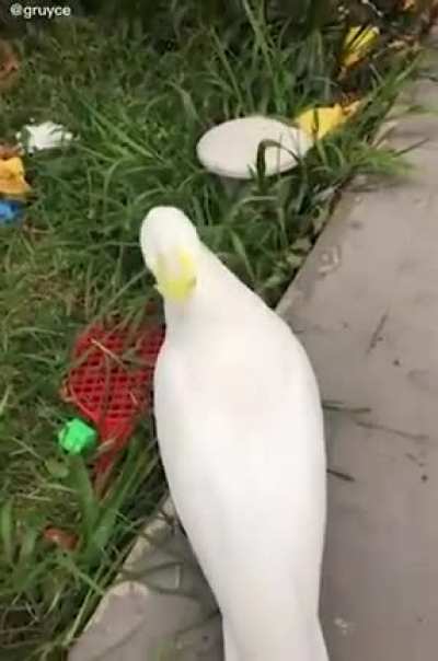 EEEEE-
