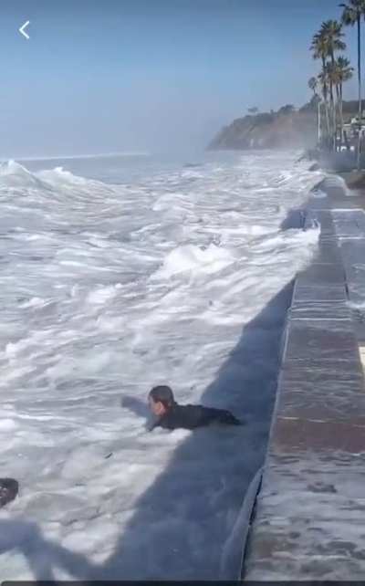 Man walks his dog on the beach