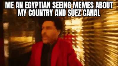 There are too many memes about them Evergreen lol