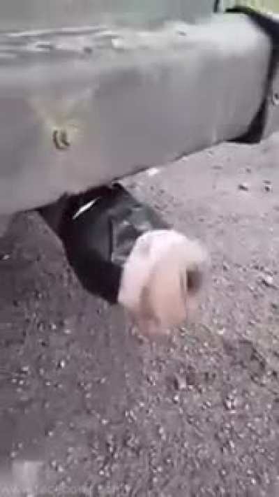Jueheheuehneyrhrbrbrbbr