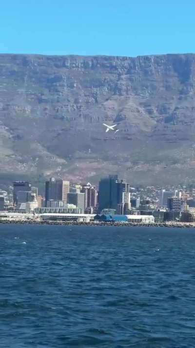 Awesome view of the jet flying over the Flugtag event at the Waterfront over the weekend