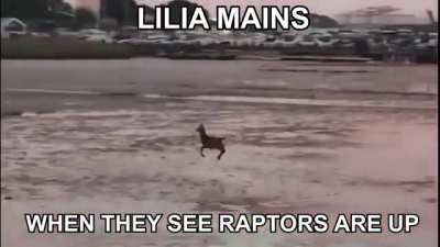 League fans