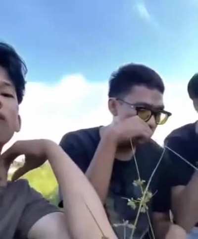 Grass
