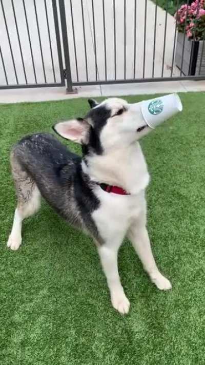 He&rsquo;s beauty, he&rsquo;s grace.
