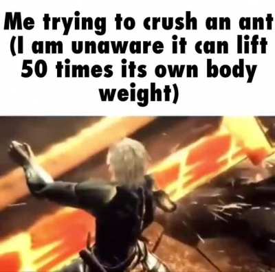 That&rsquo;s one strong ant
