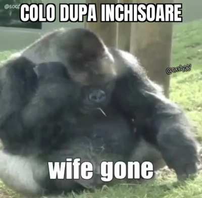 Colo
