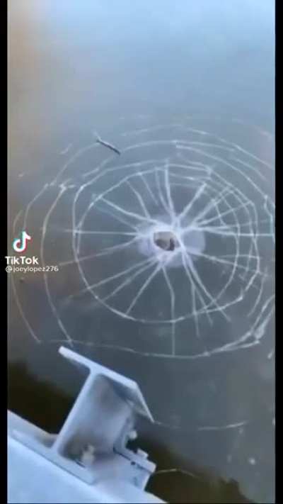 Rock making a hole in the ice