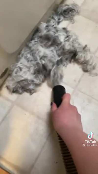 Vacuuming up