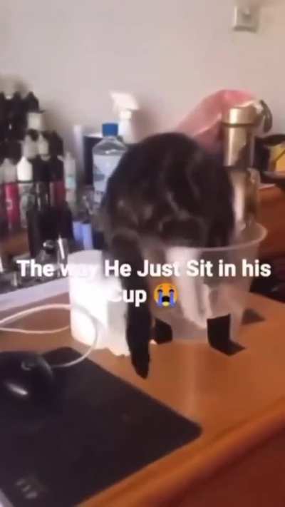 Go sit in your "chair"