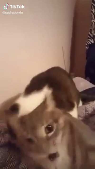 He&rsquo;s in pain.