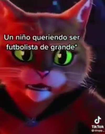 xd