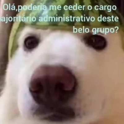Poderia?