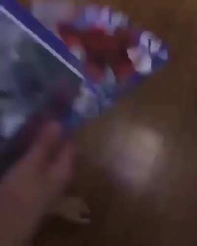 ayo