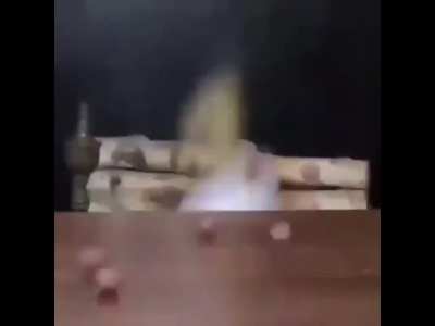 Posting something to keep the sub alive #1